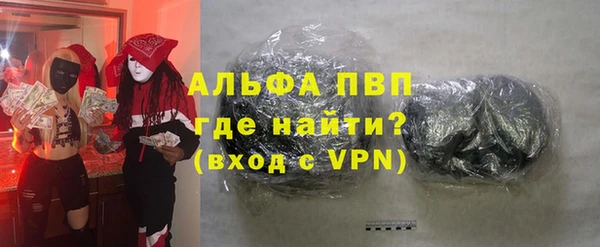 гашик Каменка