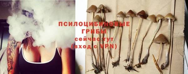 не бодяженный Каменногорск