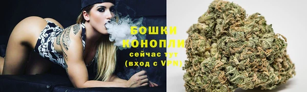 гашик Каменка