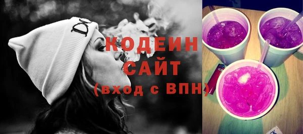 гашик Каменка