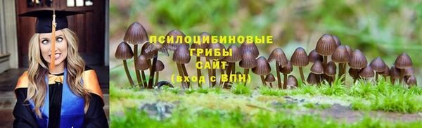 гашик Каменка