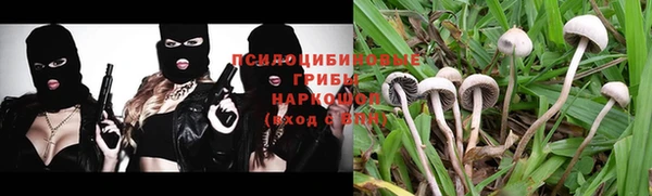 apvp Иннополис