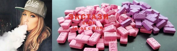 гашик Каменка