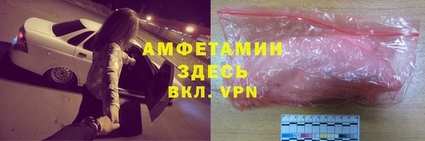 гашик Каменка