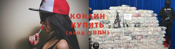 гашик Каменка