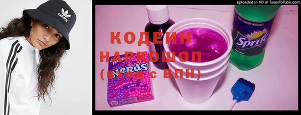 гашик Каменка