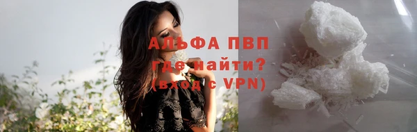 гашик Каменка