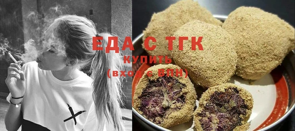 гашик Каменка