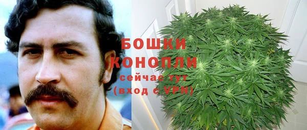 не бодяженный Каменногорск
