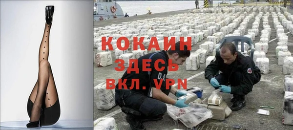 гашик Каменка