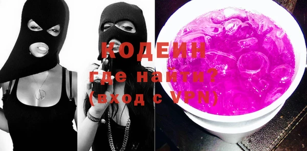 гашик Каменка