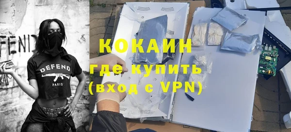 гашик Каменка
